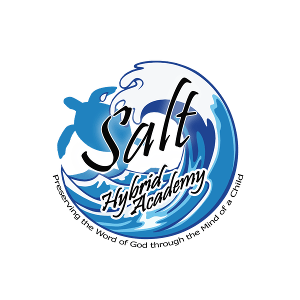 Salt Hybrid Academy logo